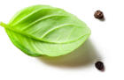 basil